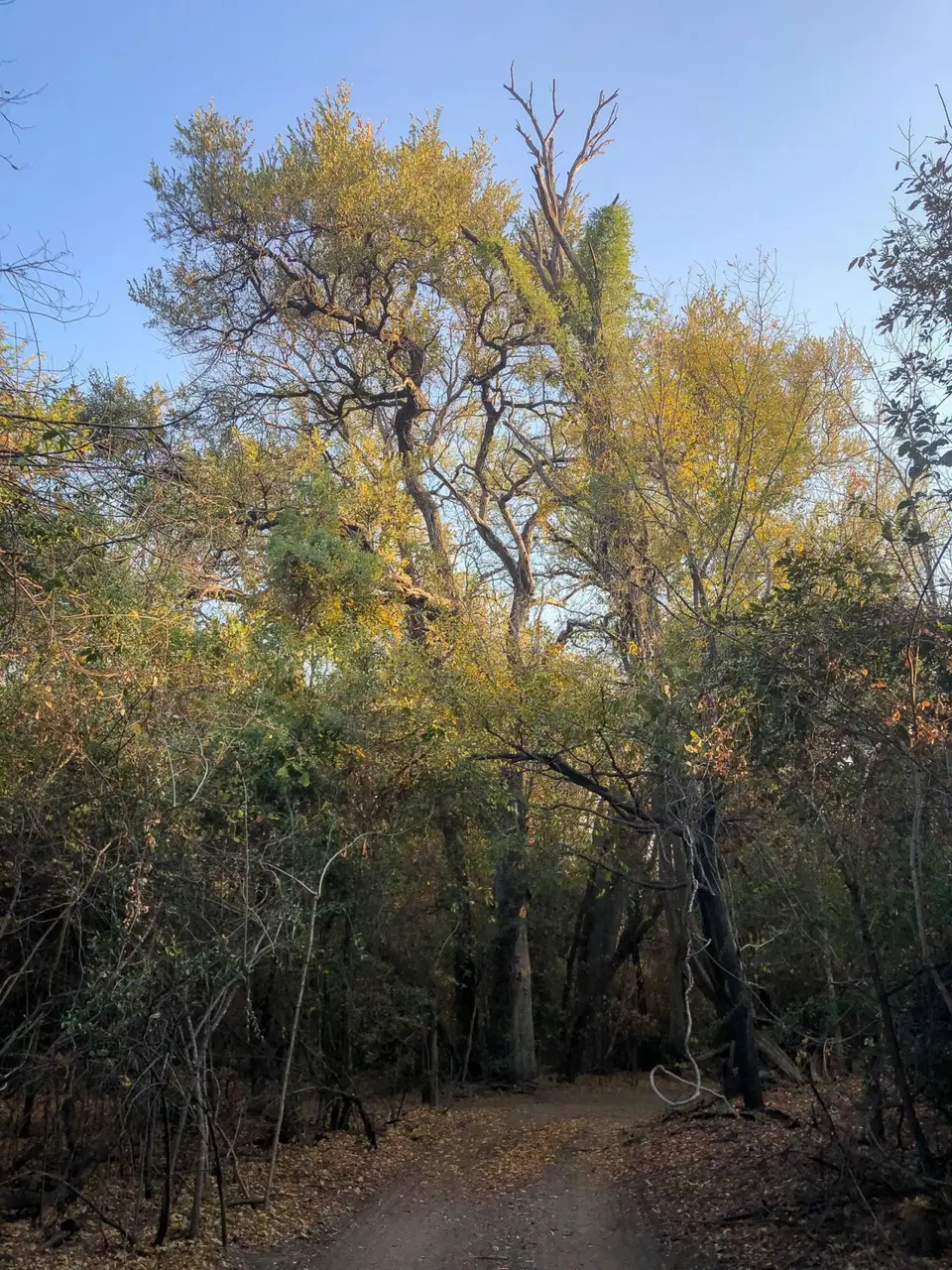 2019-09_afrika-1373.jpg