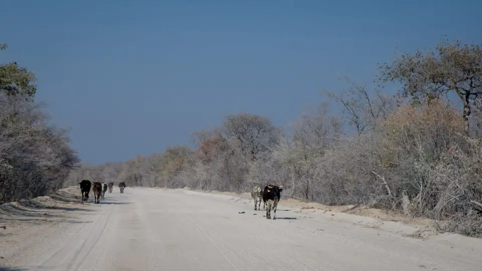 2019-09_afrika-1394.jpg