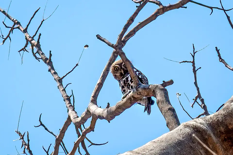 2019-09_afrika-1420-b.jpg