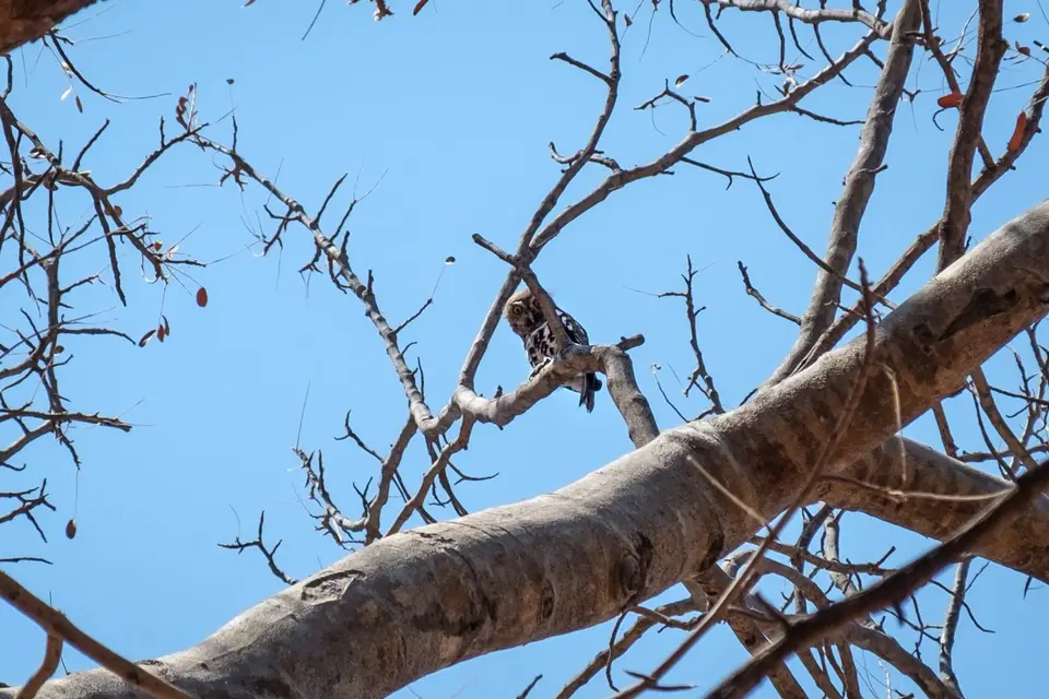 2019-09_afrika-1420.jpg