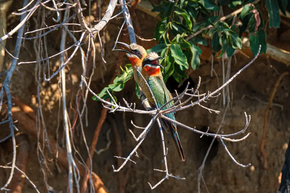 2019-09_afrika-1452.jpg