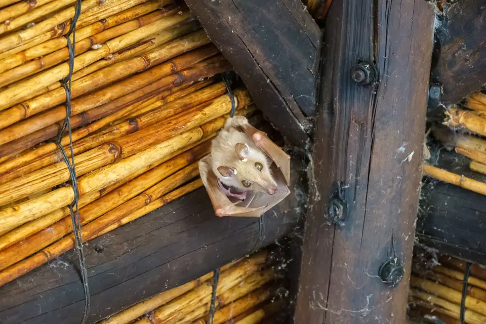 2019-09_afrika-1513.jpg