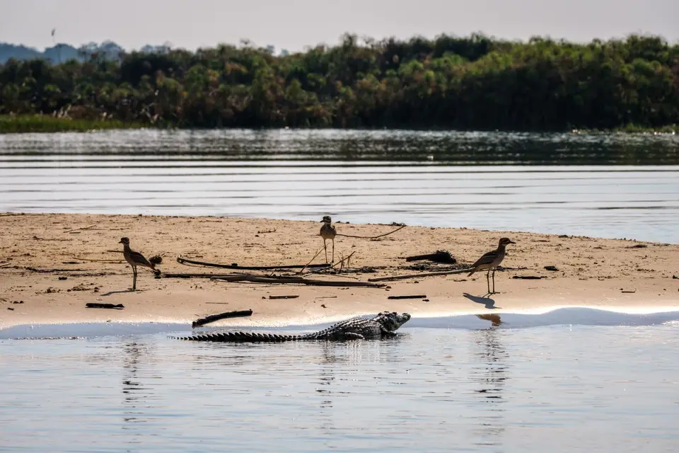 2019-09_afrika-1526.jpg