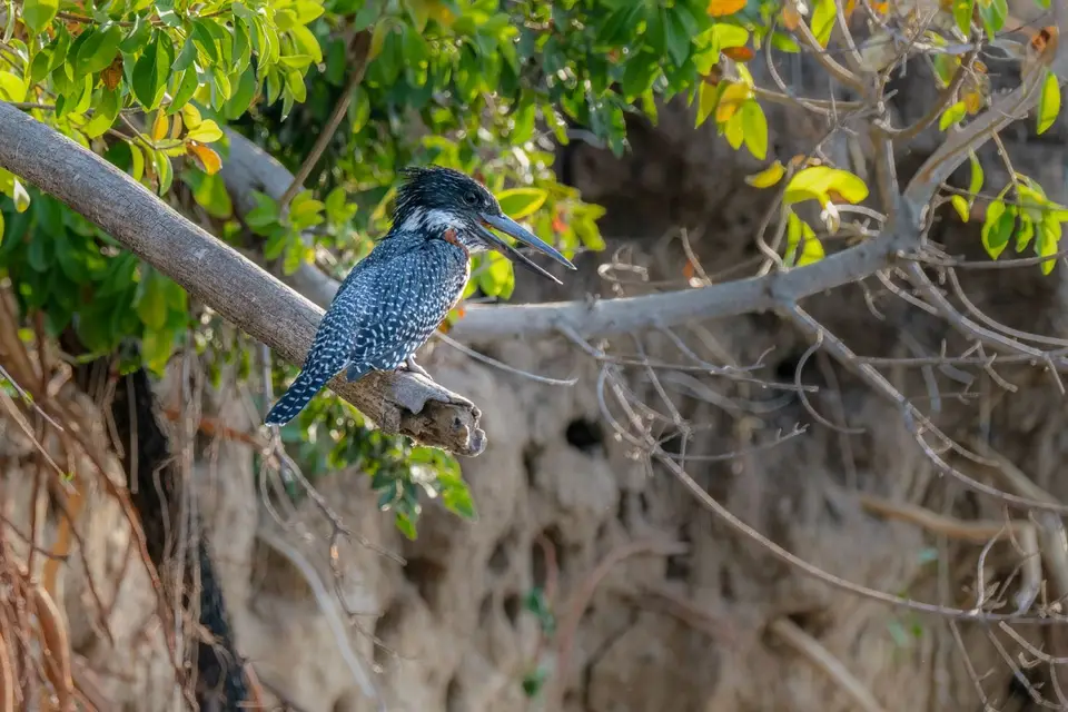 2019-09_afrika-1538-b.jpg