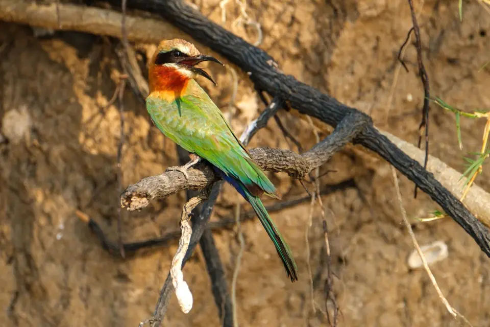 2019-09_afrika-1548.jpg