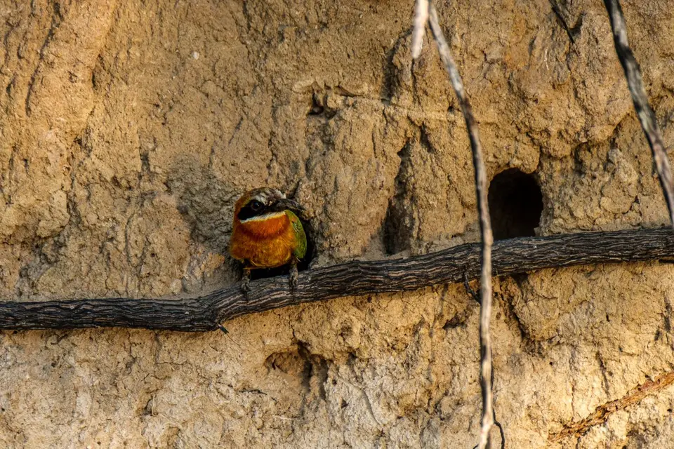 2019-09_afrika-1549.jpg