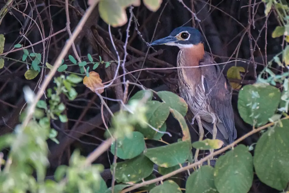 2019-09_afrika-1552-2.jpg