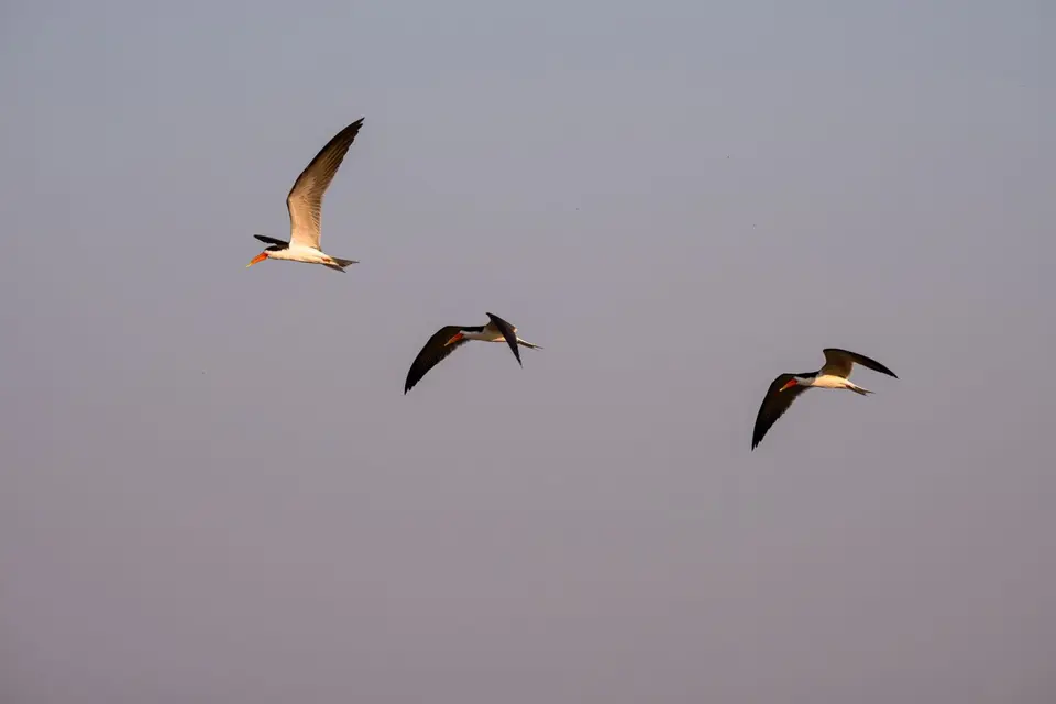 2019-09_afrika-1557-b.jpg
