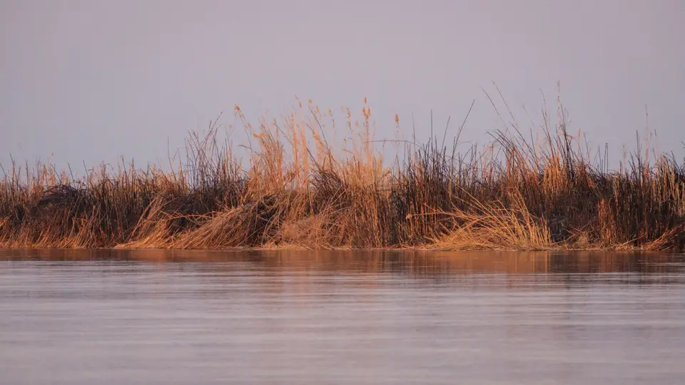 2019-09_afrika-1570.jpg