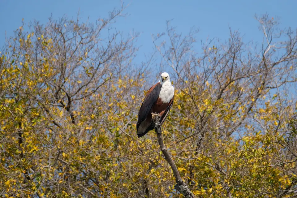 2019-09_afrika-1579.jpg