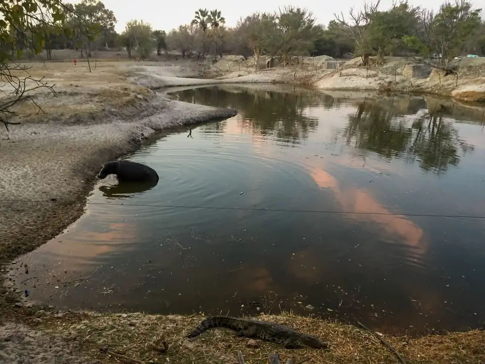2019-09_afrika-1592.jpg