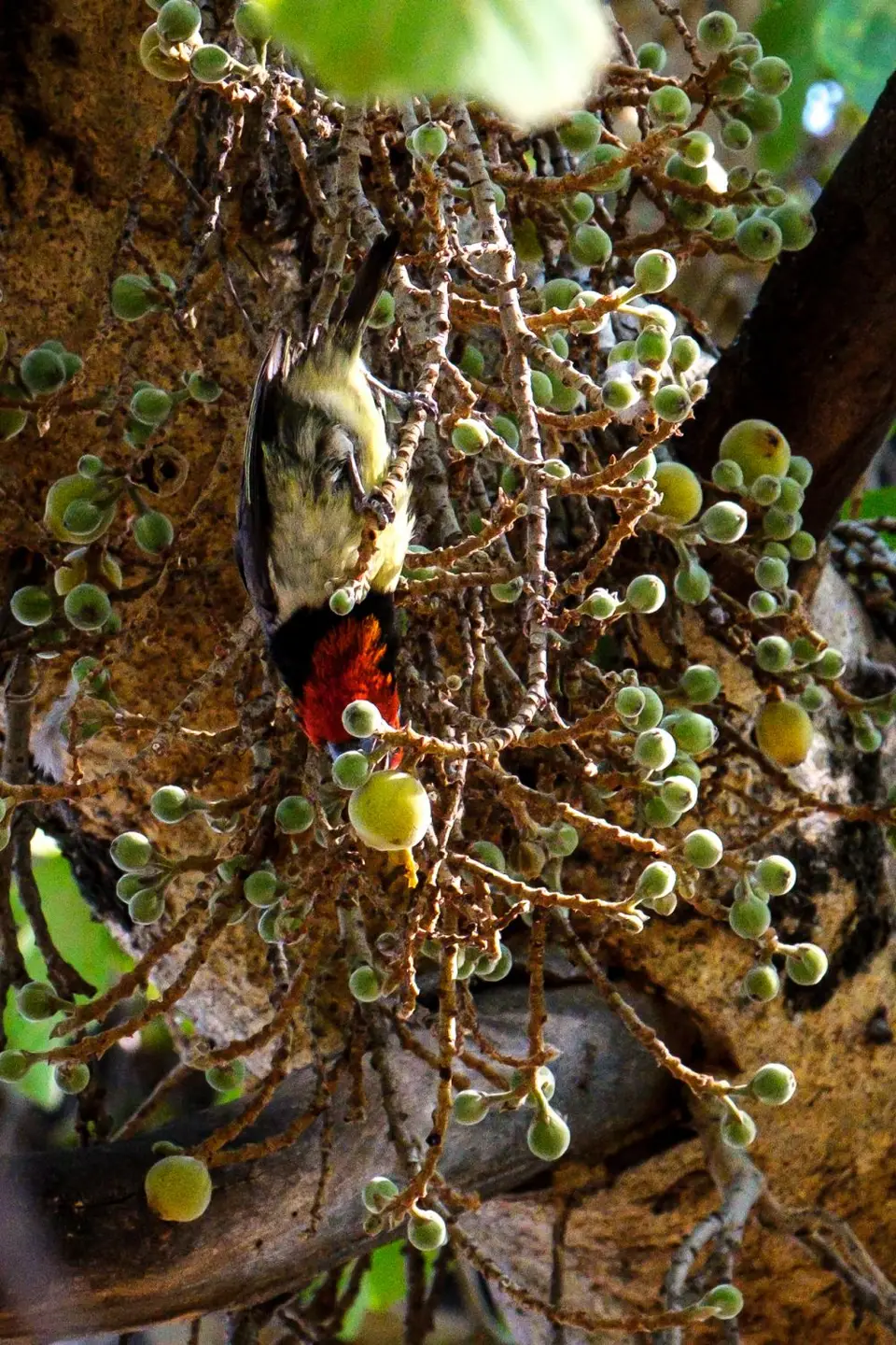 2019-09_afrika-1608.jpg