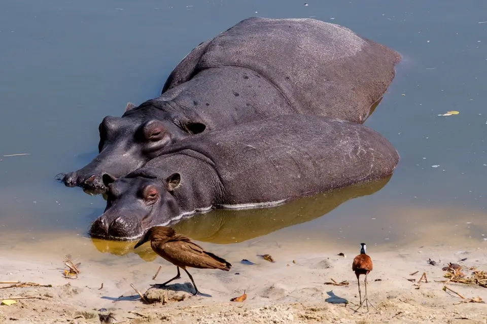 2019-09_afrika-1615.jpg