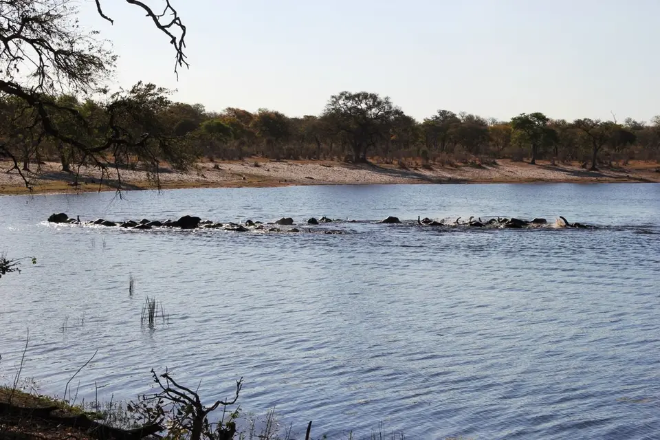 h4382452.jpg