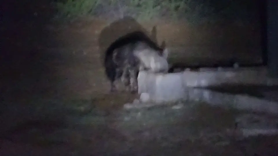 20190407_221309.JPG
