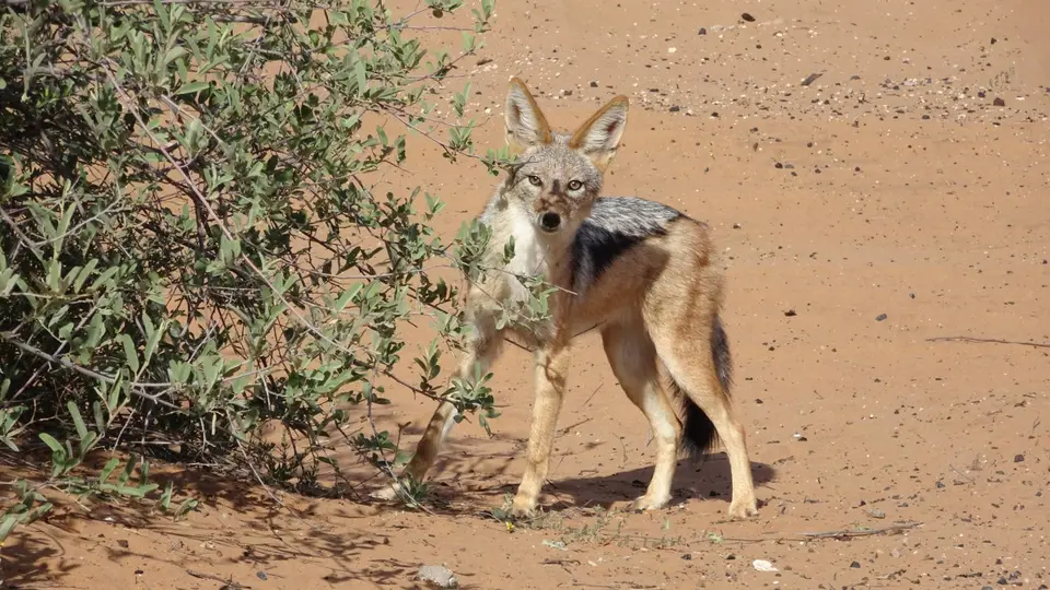 20190408_161701.JPG