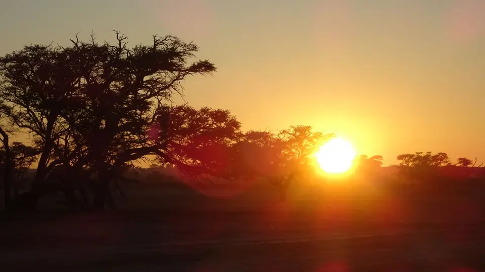 20190412_075755.JPG