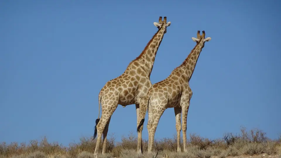 20190413_101527.JPG
