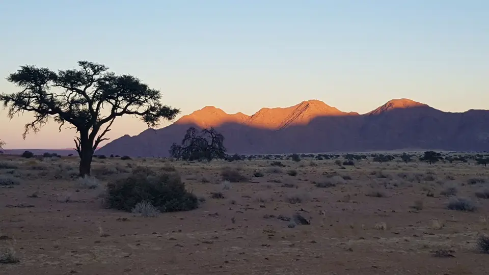 20190418_072226.jpg