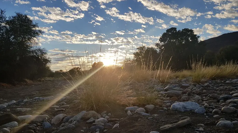 20190420_073337.jpg