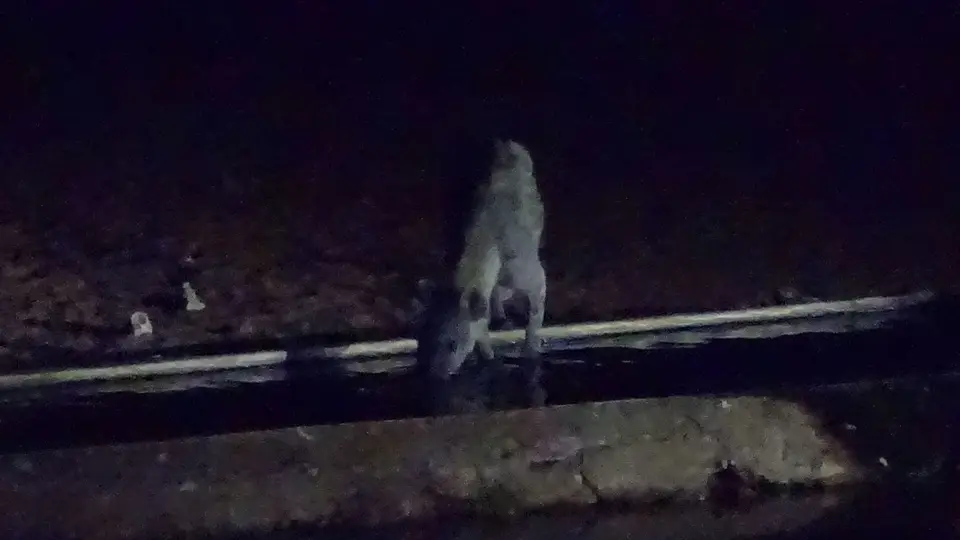 2021130_190823.JPG