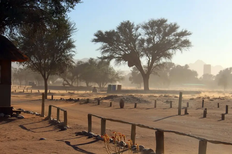 IMG_1419(1024x683).jpg