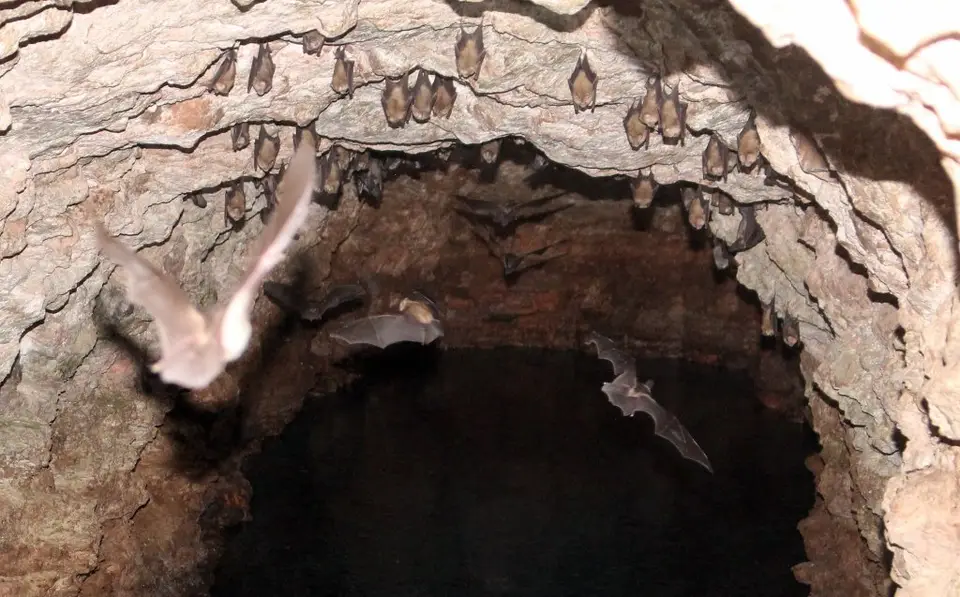 IMG_9295(1024x637).jpg