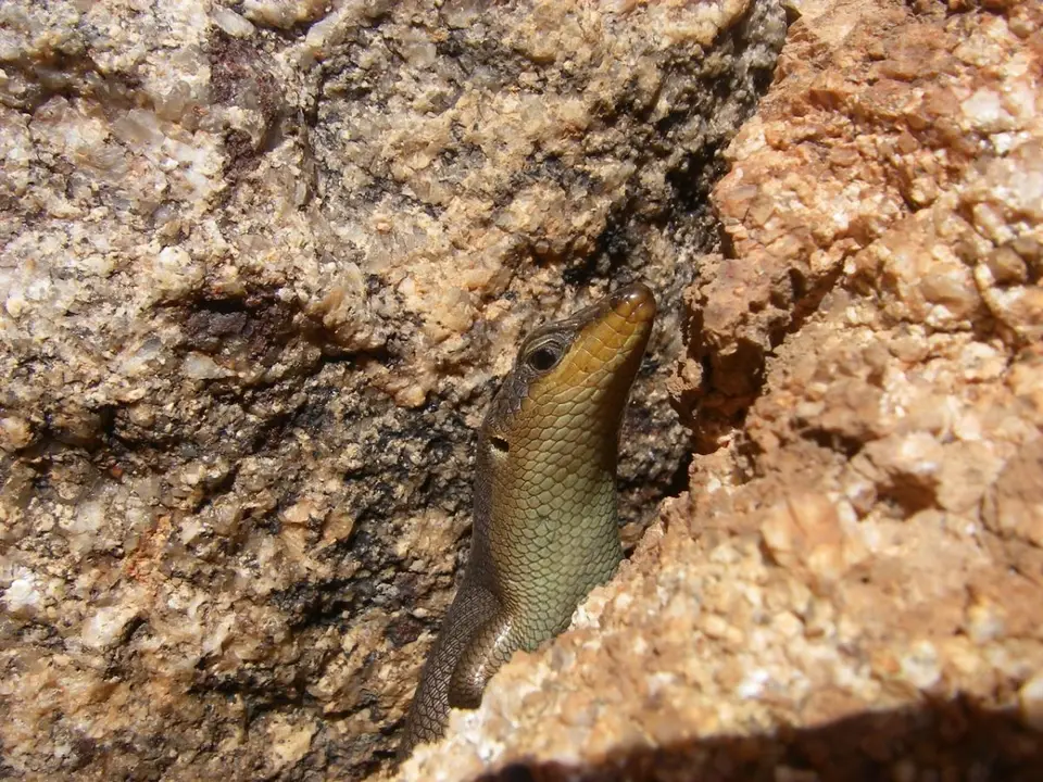hf812512.jpg