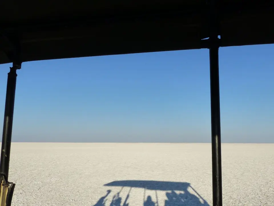 1(33)-2.JPG
