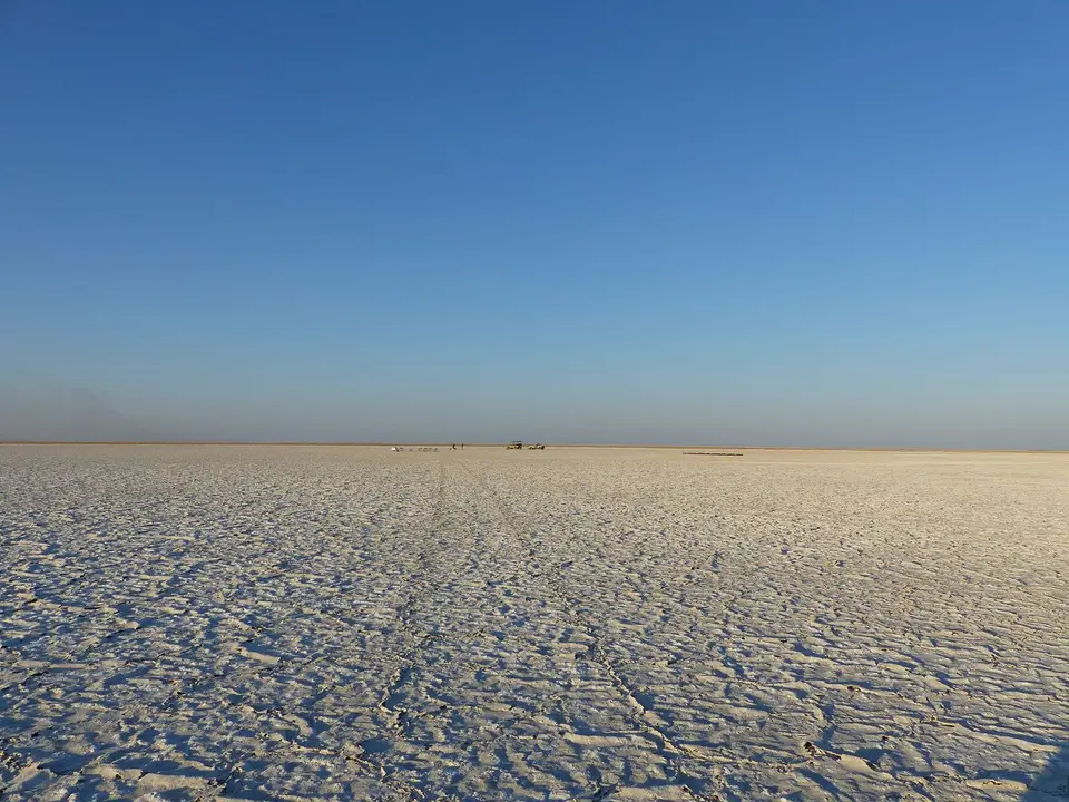 1(47)-2.JPG