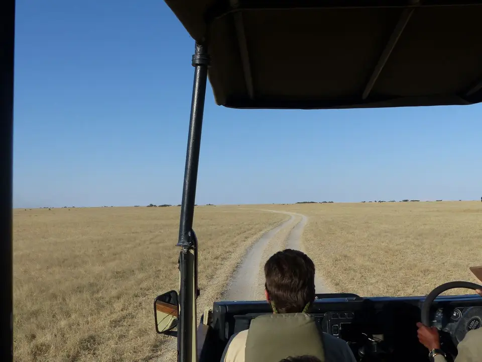 1(9)-2.JPG