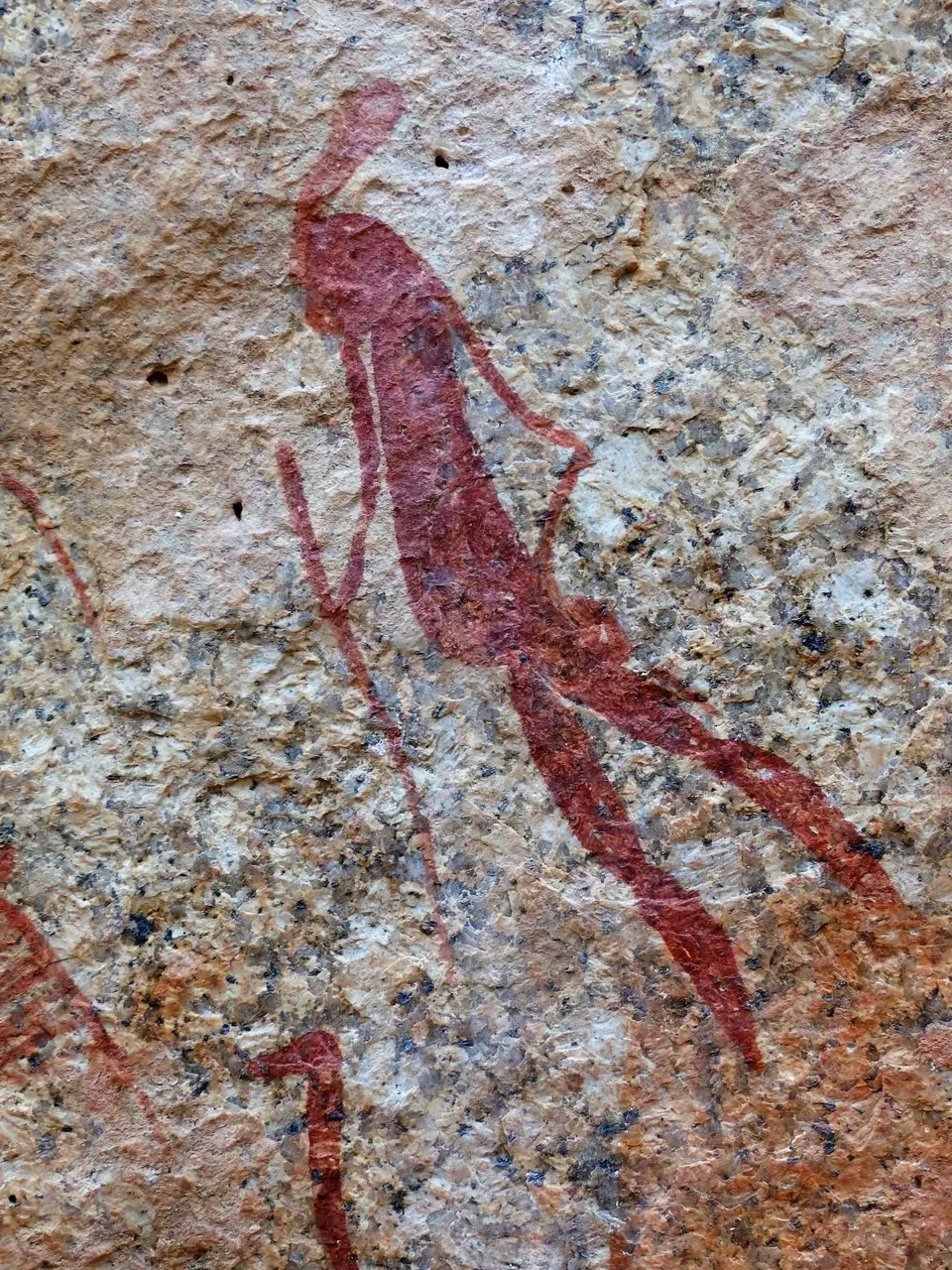 P1030310.JPG