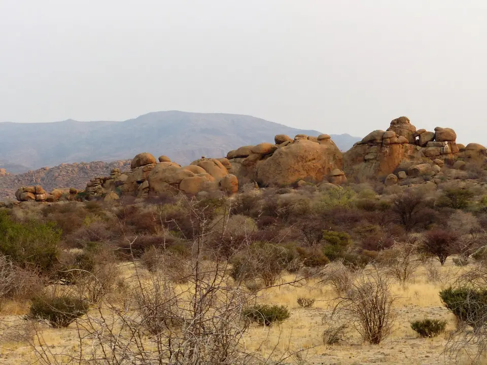 P1030321.JPG