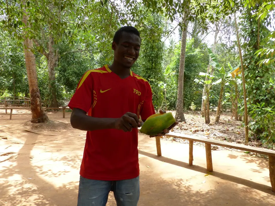 Papaya2.JPG
