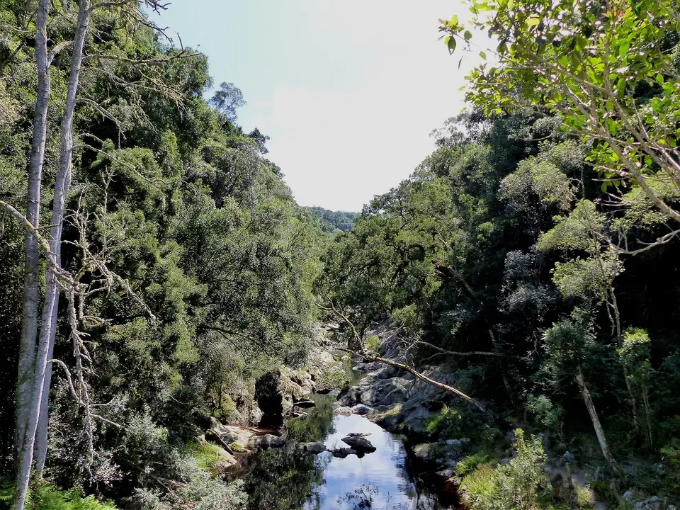 h10f6c95.jpg
