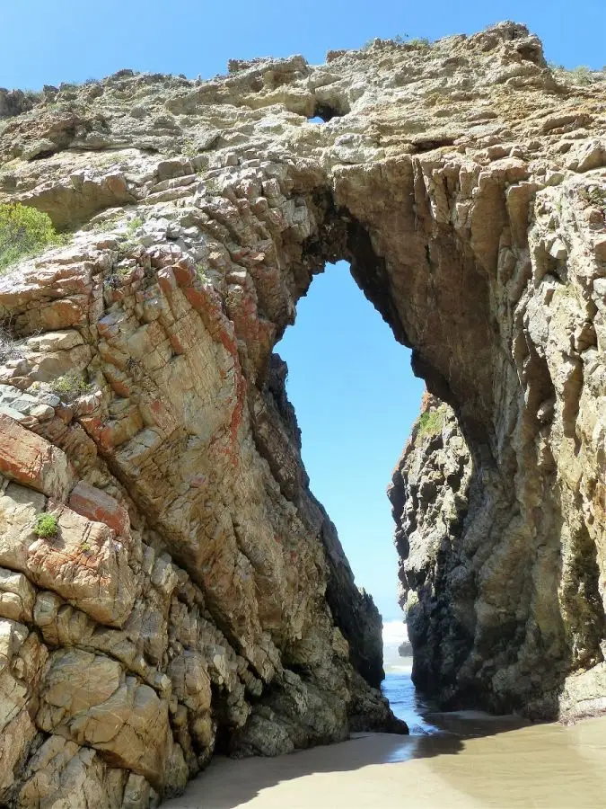 h2676661.jpg