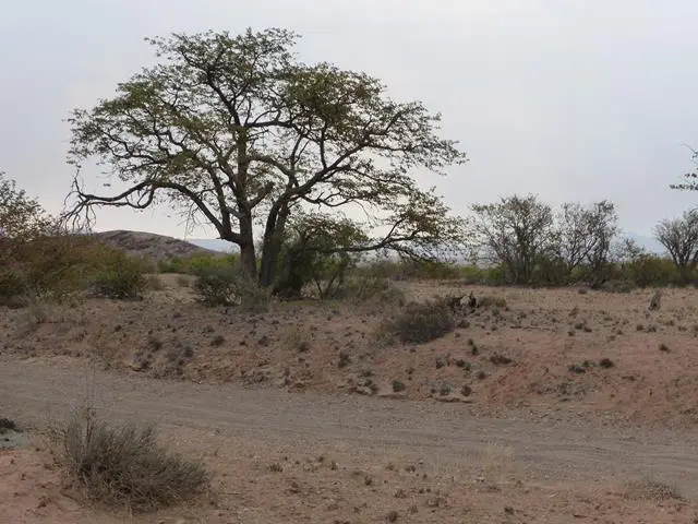 h26f8644.JPG