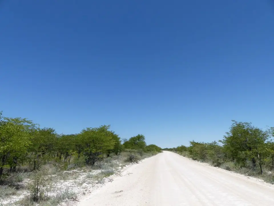 h3824f92.JPG