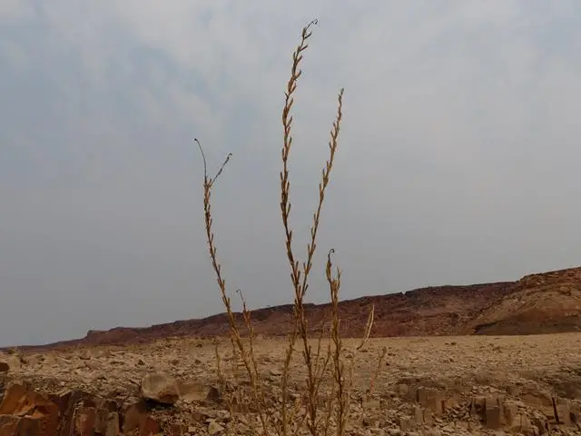 h46f5388.JPG