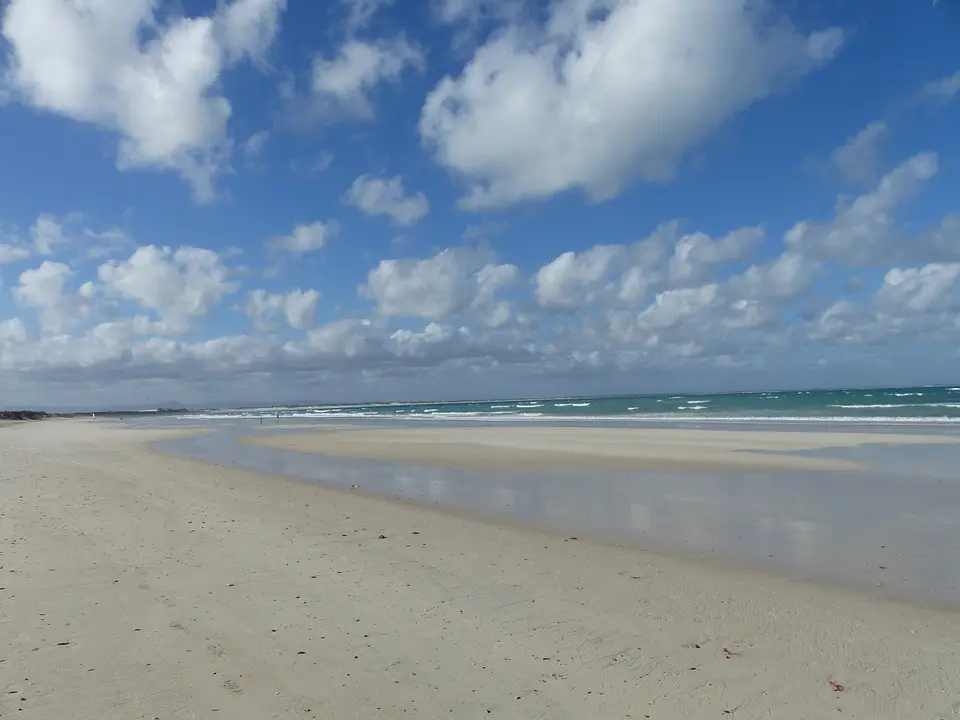 h59867d0.jpg
