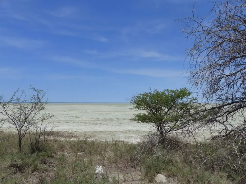 h5d32845.JPG