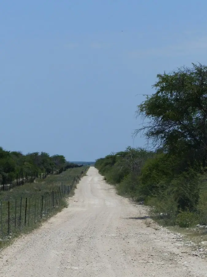 h5f3b716.JPG