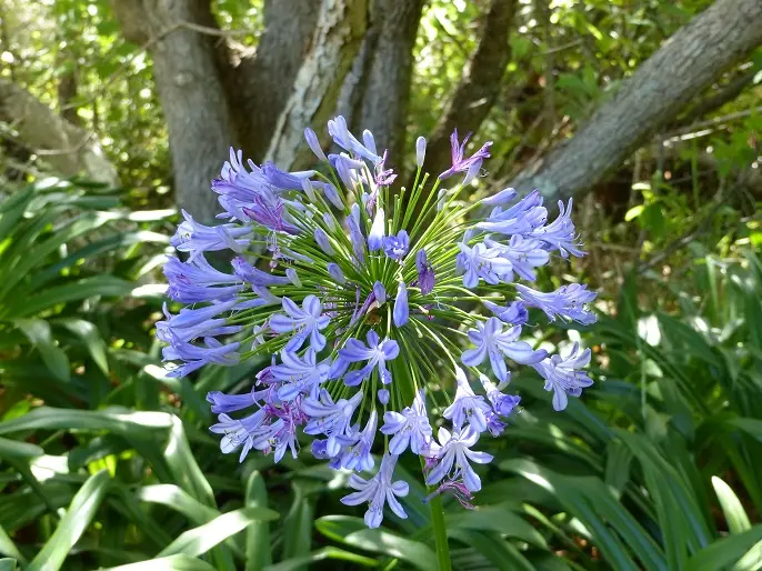 h7474390.jpg
