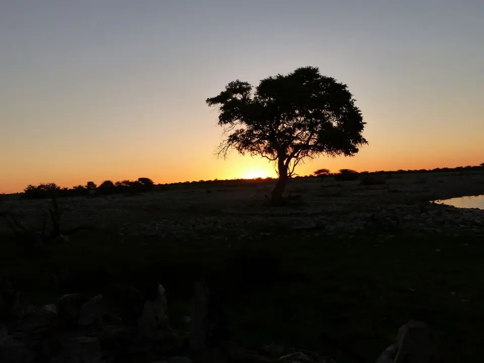 h773d052.JPG