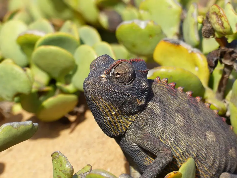 h7fbce90.JPG