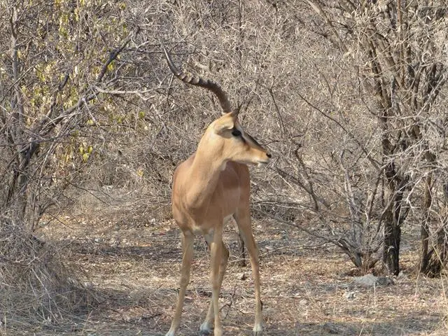 h987ce8e.JPG