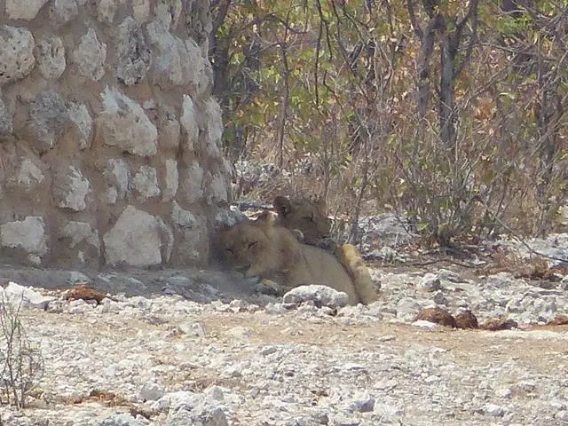 hb77806a.JPG