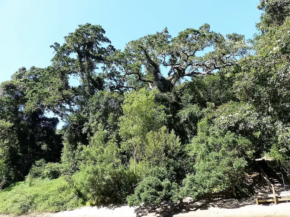 hd2962df.jpg