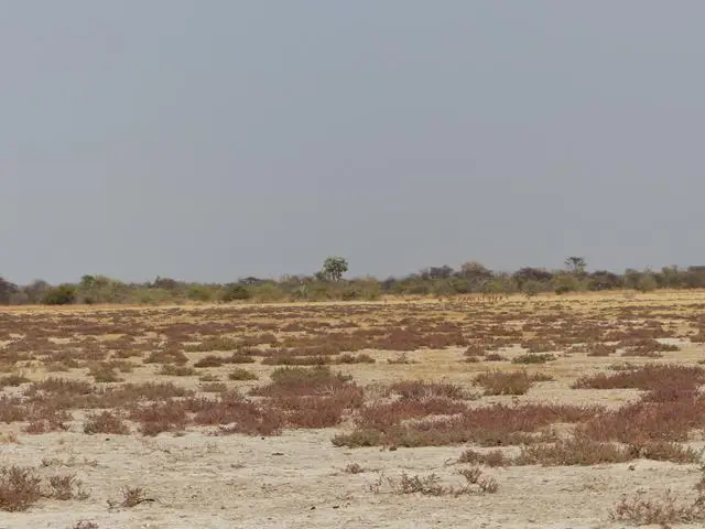 hdce0323.JPG