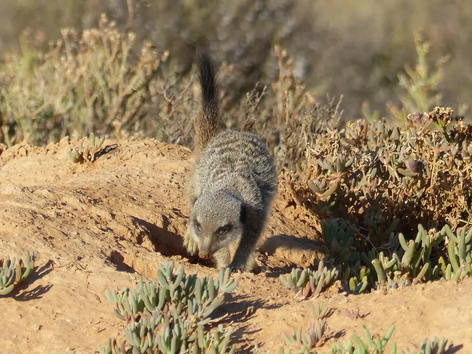 hf41edbb.jpg